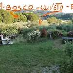 Bebrettino Atipico. Un Into The Wild Tranquillo * Trebbiantico