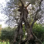 Bebrettino Atipico. Un Into The Wild Tranquillo Country house *