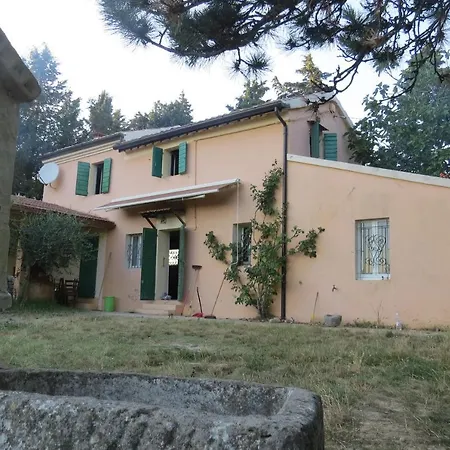 Bebrettino Atipico. Un Into The Wild Tranquillo * Trebbiantico