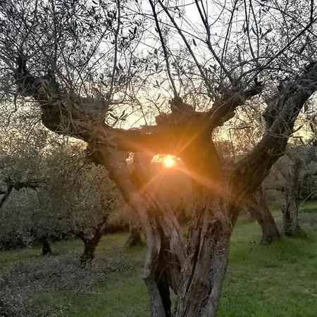 Bebrettino Atipico. Un Into The Wild Tranquillo Country house