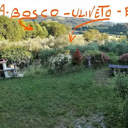 Bebrettino Atipico. Un Into The Wild Tranquillo * Trebbiantico