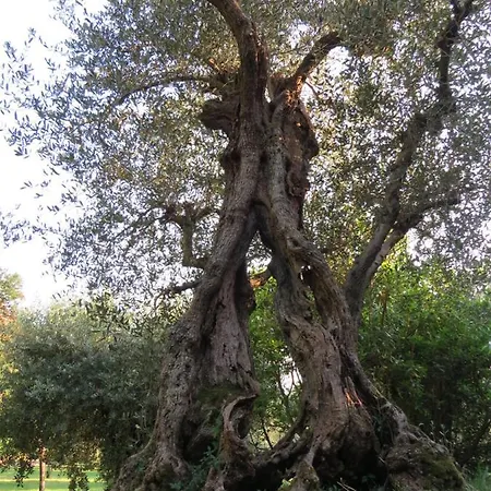 Bebrettino Atipico. Un Into The Wild Tranquillo Country house *