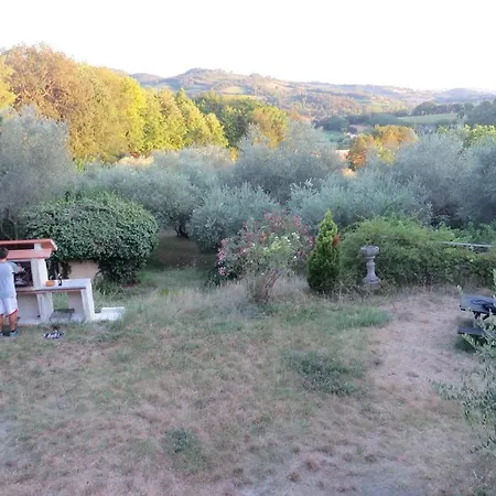 Bebrettino Atipico. Un Into The Wild Tranquillo Kır Evi