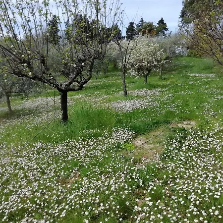 Bebrettino Atipico. Un Into The Wild Tranquillo Country house