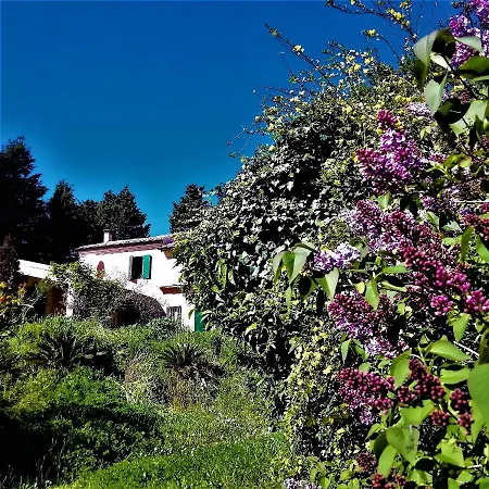 Bebrettino Atipico. Un Into The Wild Tranquillo Trebbiantico